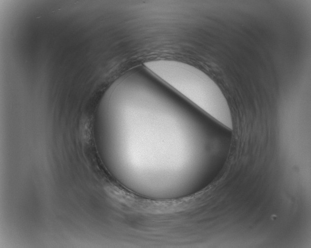 X0000068270037200604210952