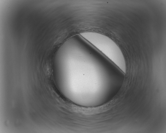 X0000068270039200604210952