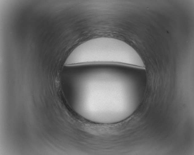 X0000068270040200604210952