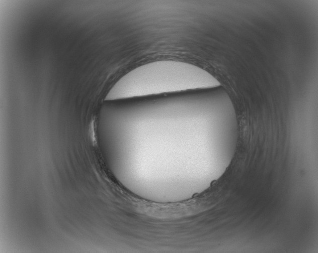 X0000068270042200604210951