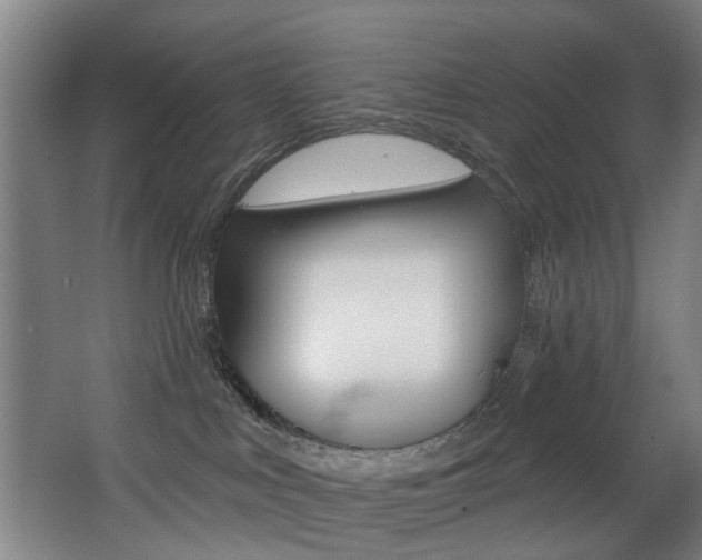 X0000068270043200604210951