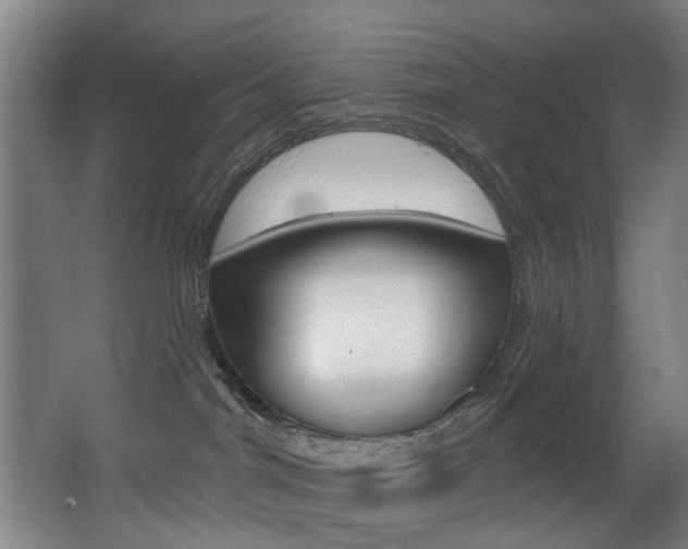 X0000068270044200604210951