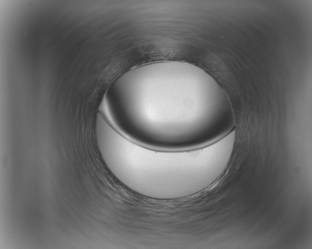 X0000068270045200604210951