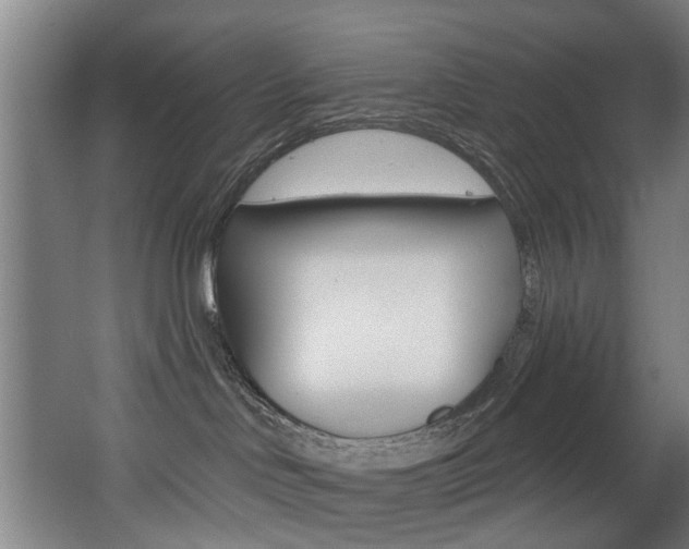 X0000068270046200604210951