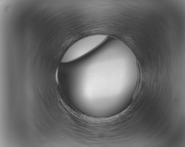 X0000068270047200604210951