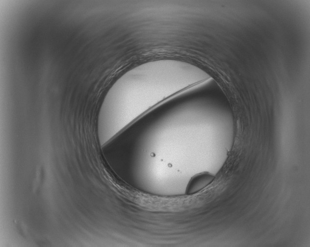 X0000068270048200604210951