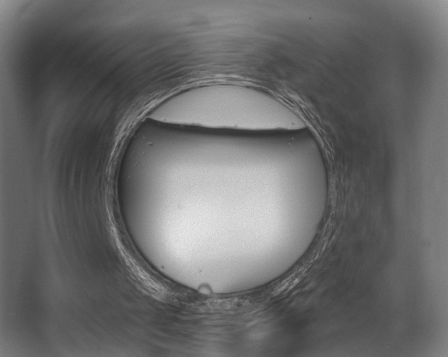 X0000068270049200604210951