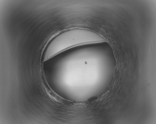 X0000068270050200604210951