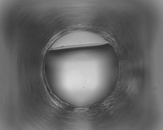 X0000068270051200604210951