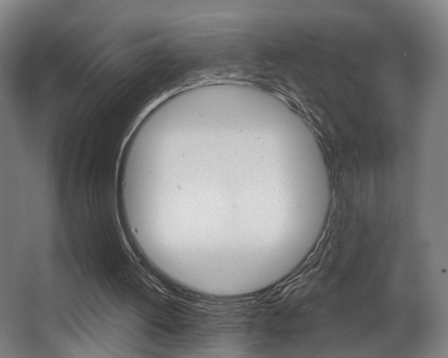 X0000068270052200604210951