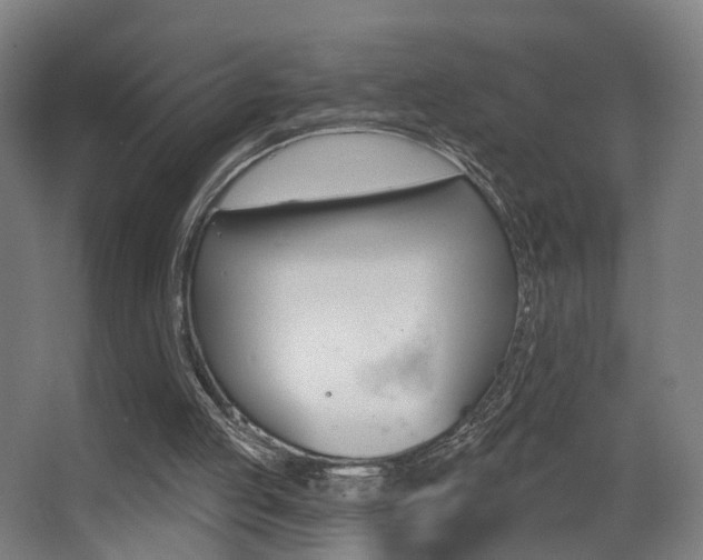 X0000068270053200604210951