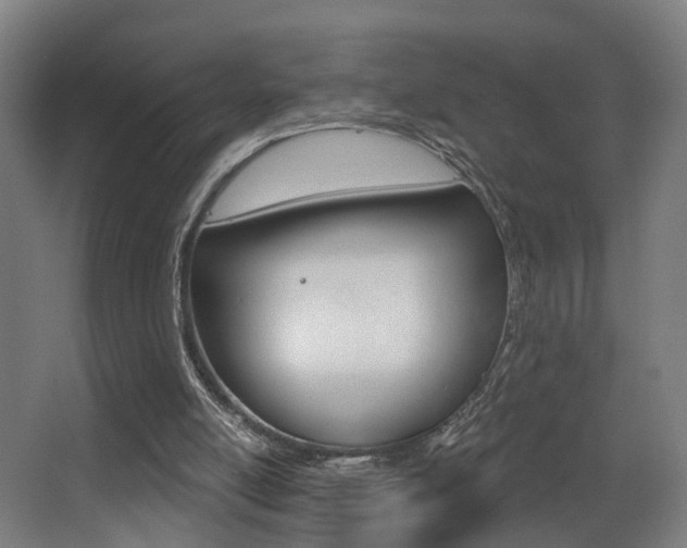 X0000068270054200604210951