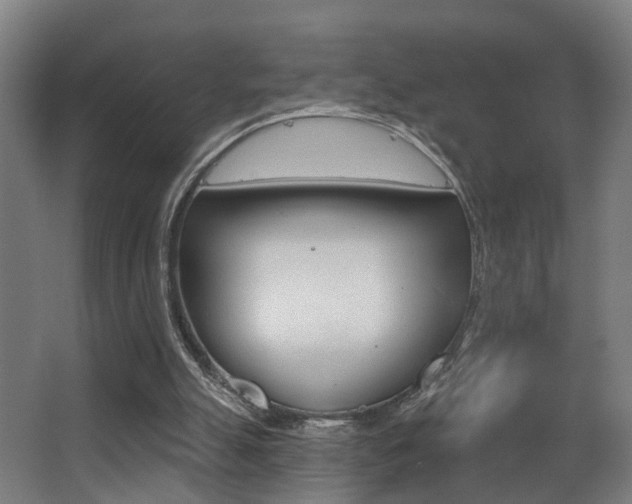 X0000068270055200604210951