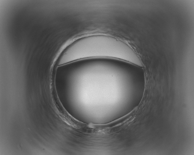 X0000068270056200604210951