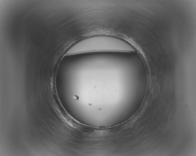 X0000068270057200604210951