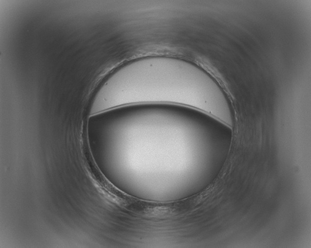 X0000068270058200604210951