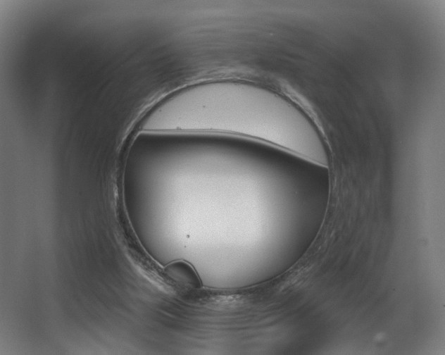 X0000068270059200604210951