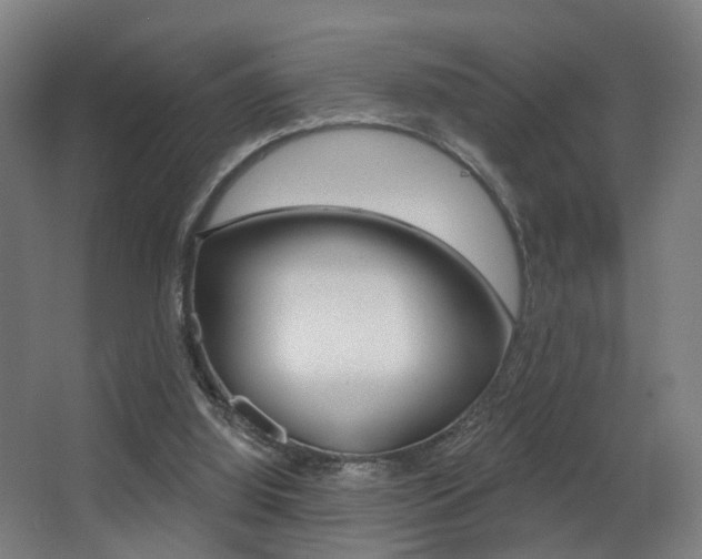 X0000068270060200604210951