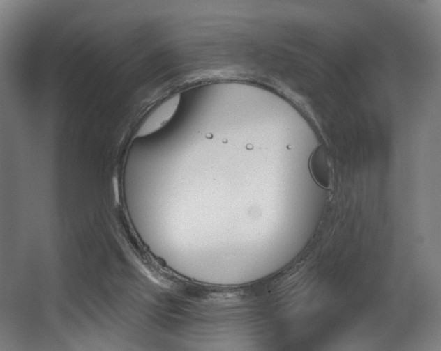 X0000068270061200604210951