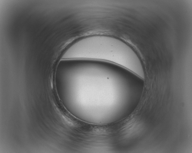 X0000068270062200604210951