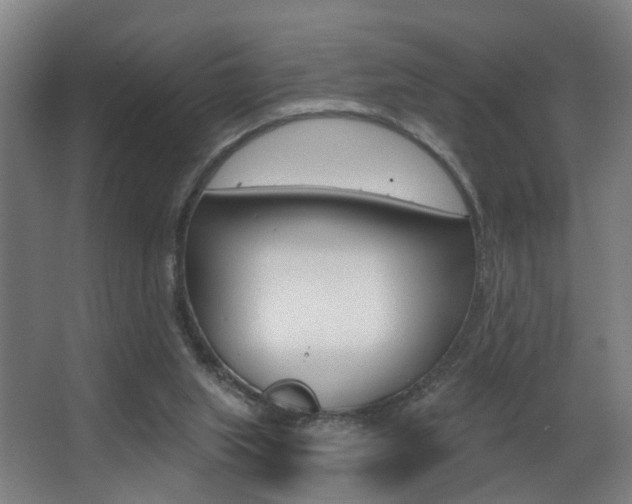 X0000068270063200604210951