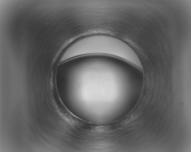 X0000068270064200604210951