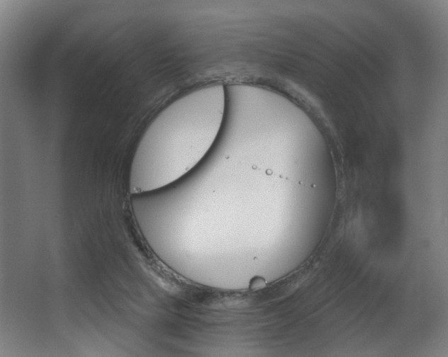 X0000068270065200604210951