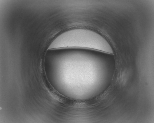 X0000068270066200604210951