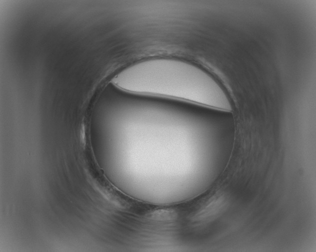 X0000068270067200604210951