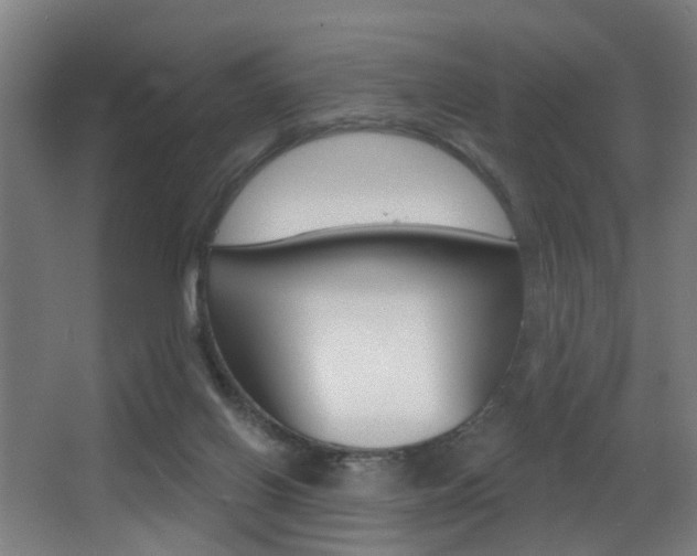 X0000068270070200604210951