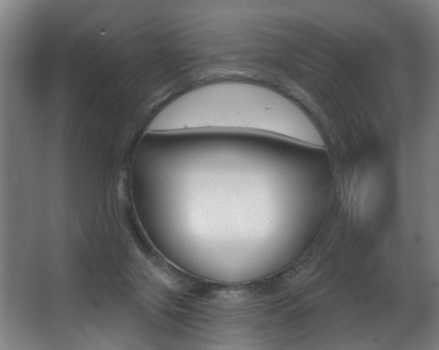 X0000068270071200604210951