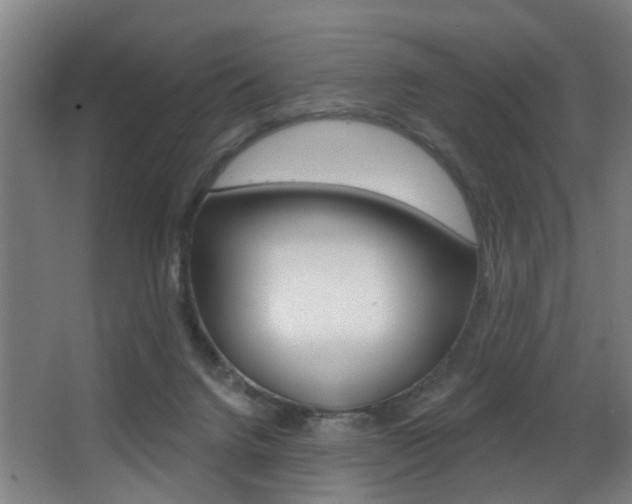 X0000068270072200604210951