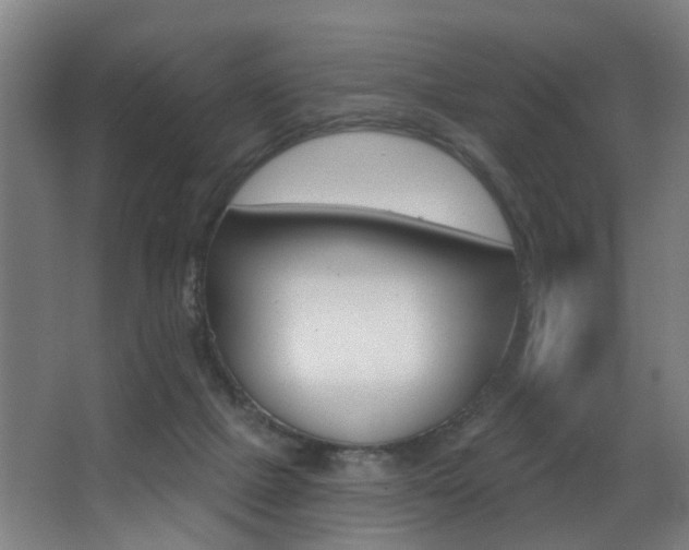 X0000068270073200604210951