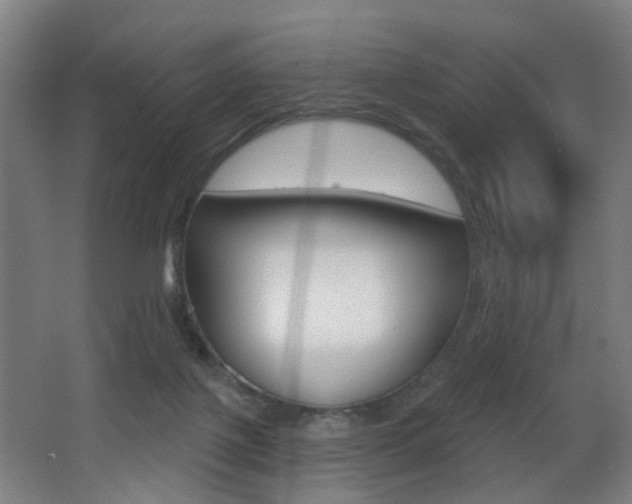 X0000068270075200604210951