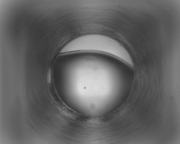 X0000068270076200604210951