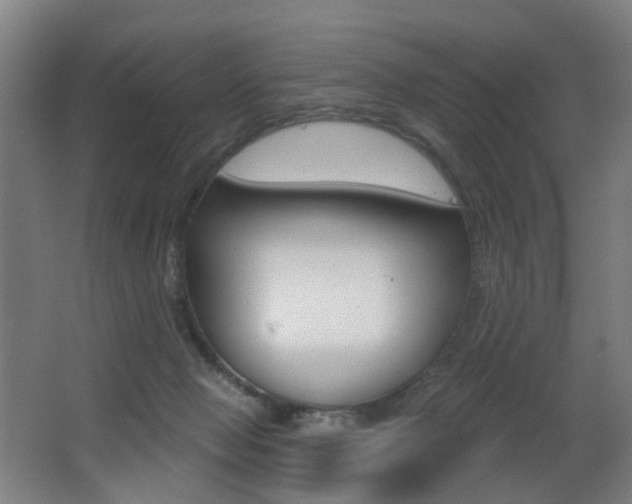 X0000068270077200604210951