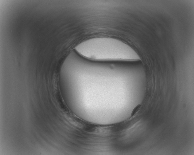 X0000068270078200604210951