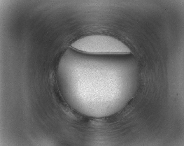 X0000068270079200604210951