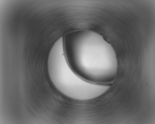 X0000068270080200604210951