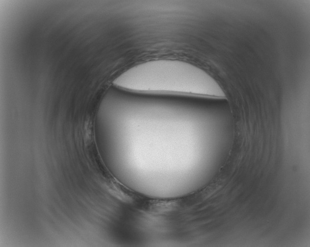 X0000068270081200604210951