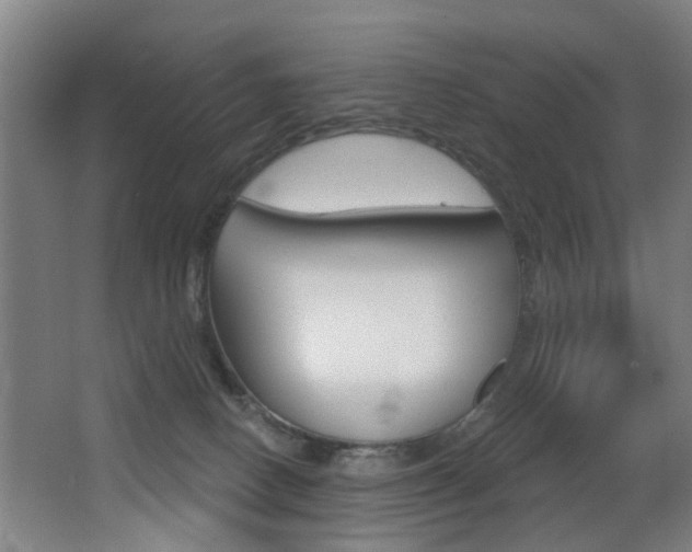 X0000068270082200604210951