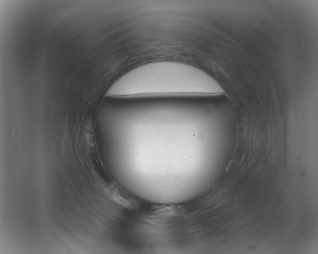 X0000068270083200604210951