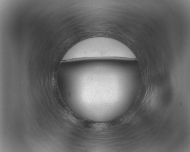 X0000068270085200604210951