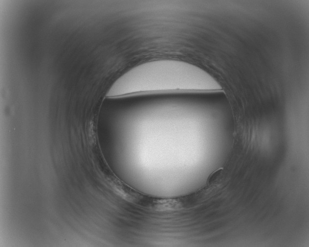 X0000068270087200604210951