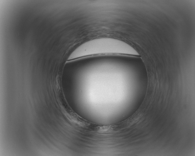 X0000068270088200604210951