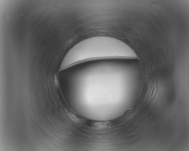 X0000068270089200604210951