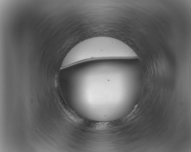 X0000068270090200604210951