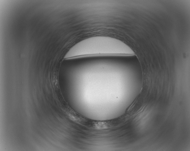 X0000068270091200604210951