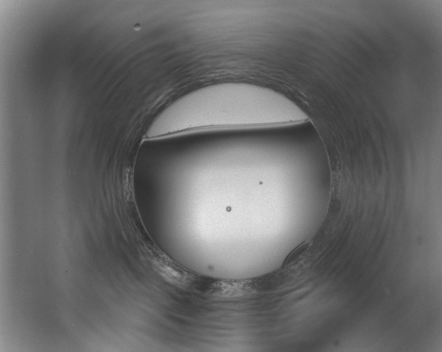 X0000068270093200604210951