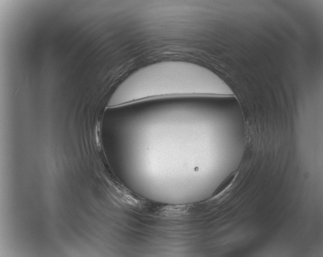 X0000068270094200604210951